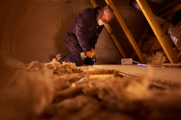 Types of Insulation We Offer in Alderwood Manor, WA